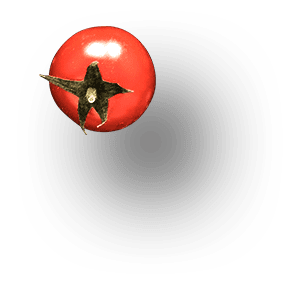 tomato